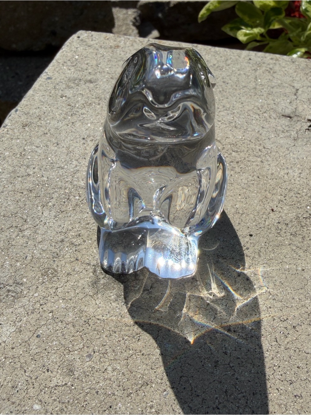 Baccarat Bunny